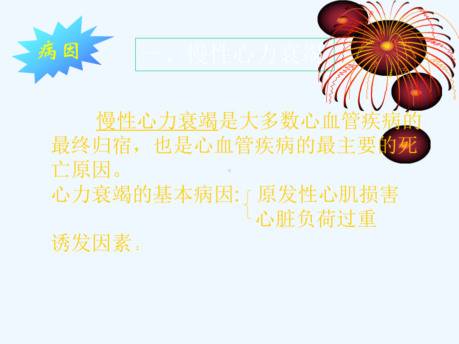 节心力衰竭病人的护理课件.ppt_第3页