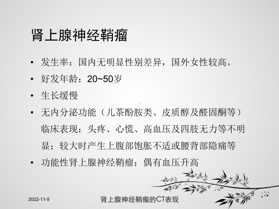 肾上腺神经鞘瘤的CT表现培训课件.ppt_第3页