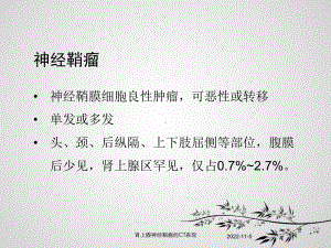 肾上腺神经鞘瘤的CT表现培训课件.ppt