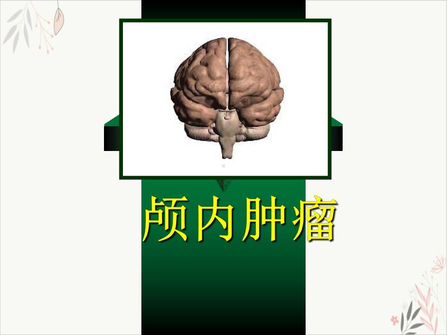 颅内肿瘤课件.ppt_第1页