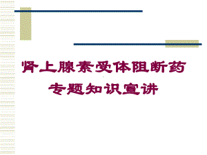 肾上腺素受体阻断药专题知识宣讲培训课件.ppt