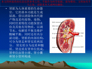 肾衰竭病人的护理培训课件.ppt