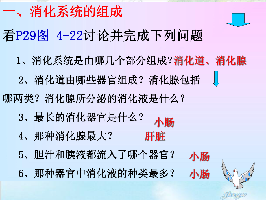 消化和吸收优质课课件.ppt_第3页