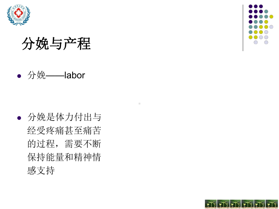 正常产程中的入量管理课件.ppt_第3页