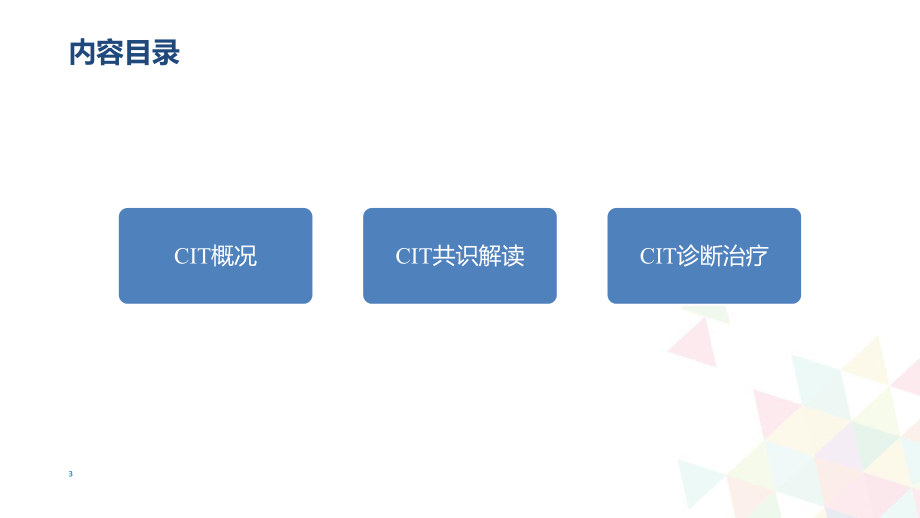 肿瘤CIT诊疗教学课件.ppt_第3页