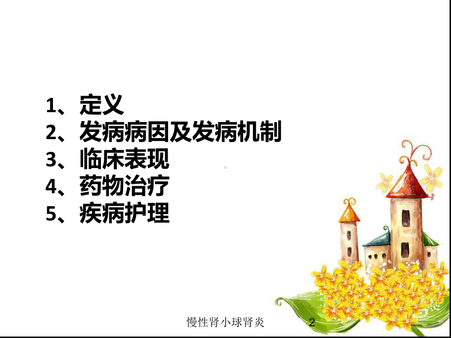 慢性肾小球肾炎培训课件2.ppt_第2页