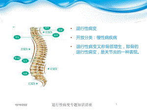 退行性病变专题知识讲座培训课件.ppt