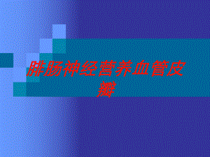 腓肠神经营养血管皮瓣培训课件.ppt