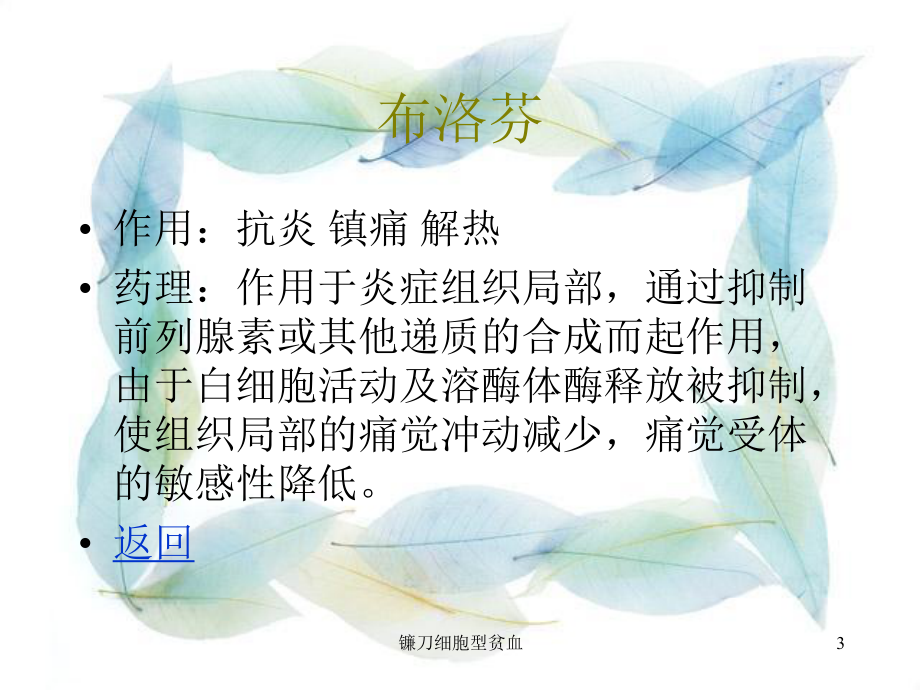 镰刀细胞型贫血课件.ppt_第3页