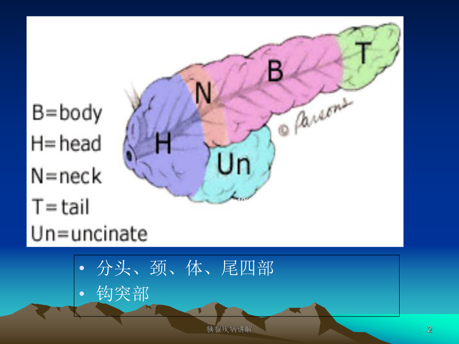 胰腺疾病讲解培训课件.ppt_第2页