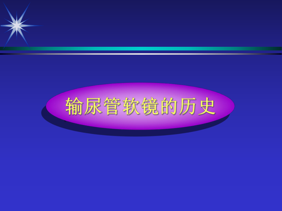 输尿管软镜及其应用课件.ppt_第2页