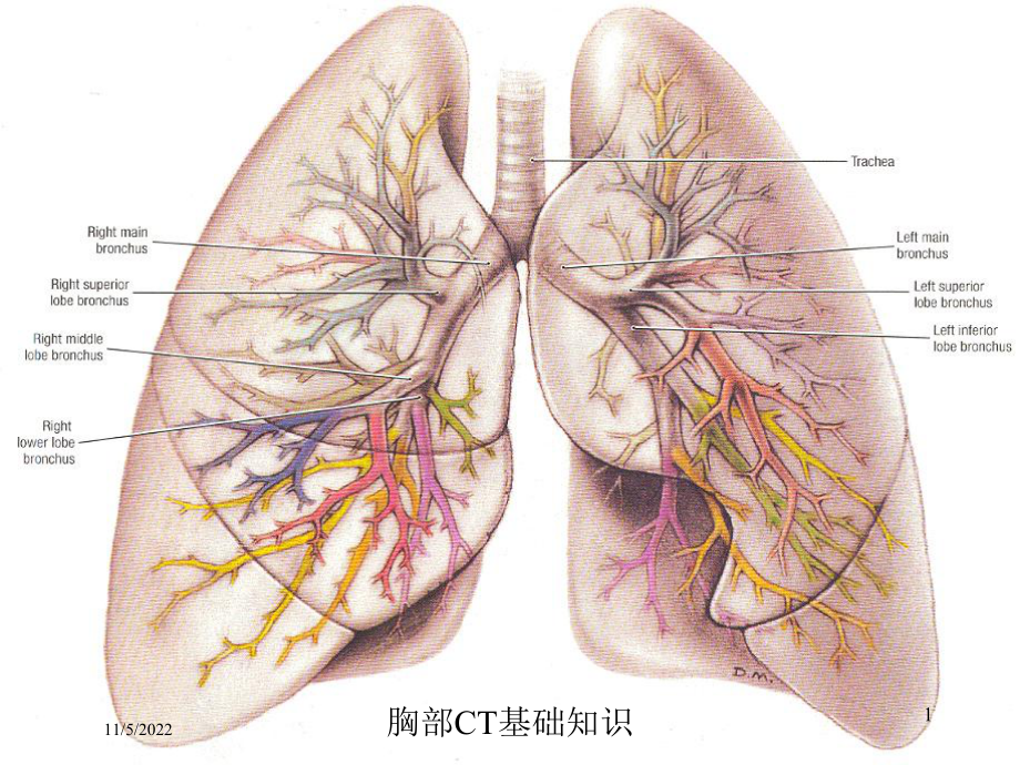 胸部CT基础知识培训课件.ppt_第1页