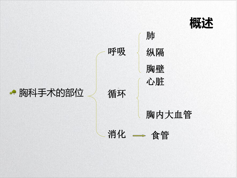 胸科手术的麻醉完整版课件.ppt_第2页