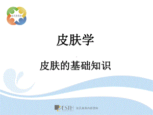 皮肤学：基础知识课件.ppt