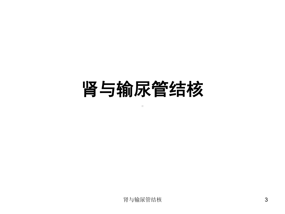 肾与输尿管结核课件.ppt_第3页