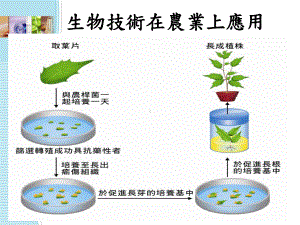 生物技术在农业上应用课件.ppt