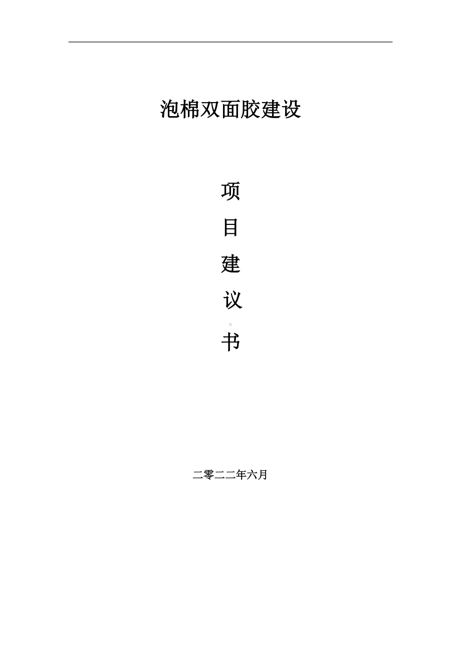 泡棉双面胶项目建议书（写作模板）.doc_第1页