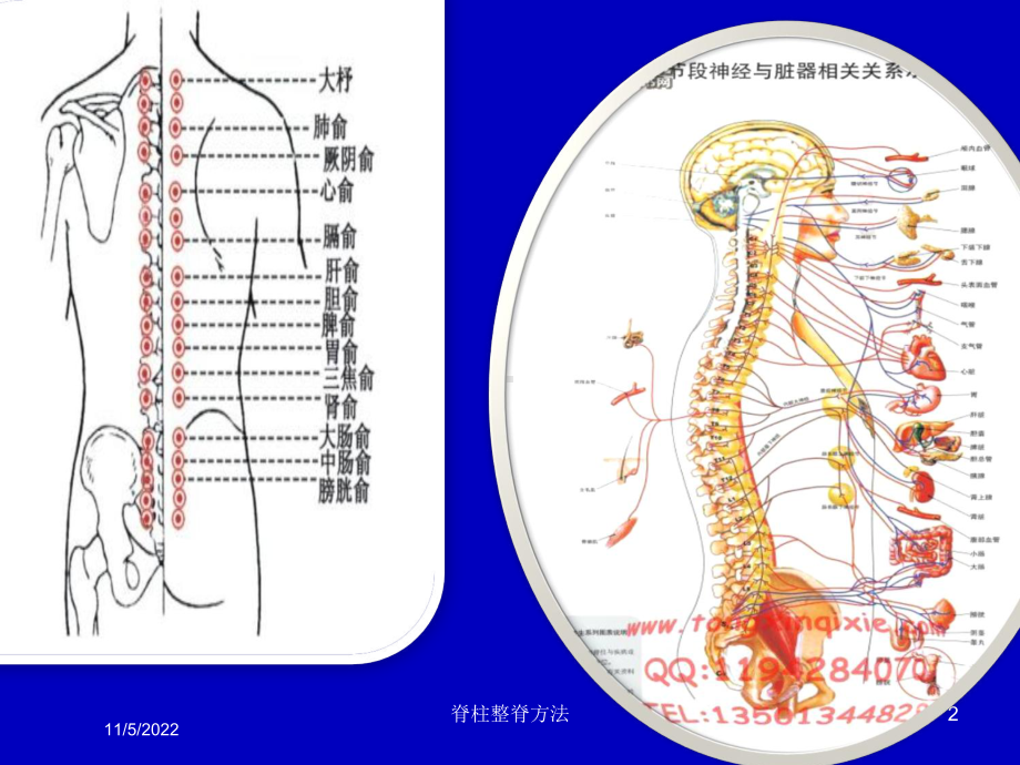 脊柱整脊方法培训课件.ppt_第2页