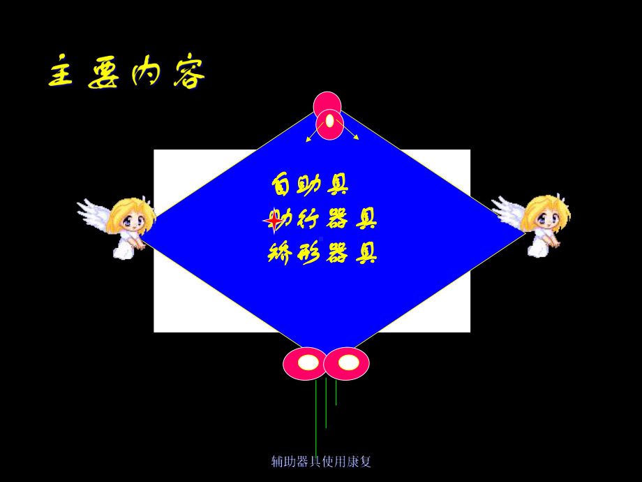 辅助器具使用康复课件.ppt_第2页