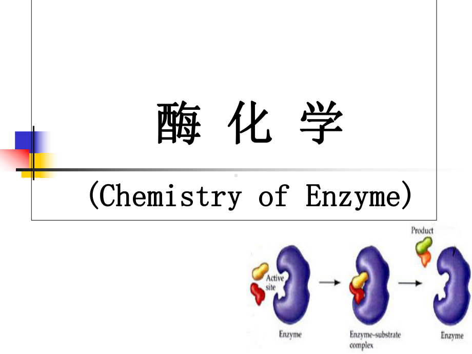 生物化学-酶化学课件.ppt_第1页