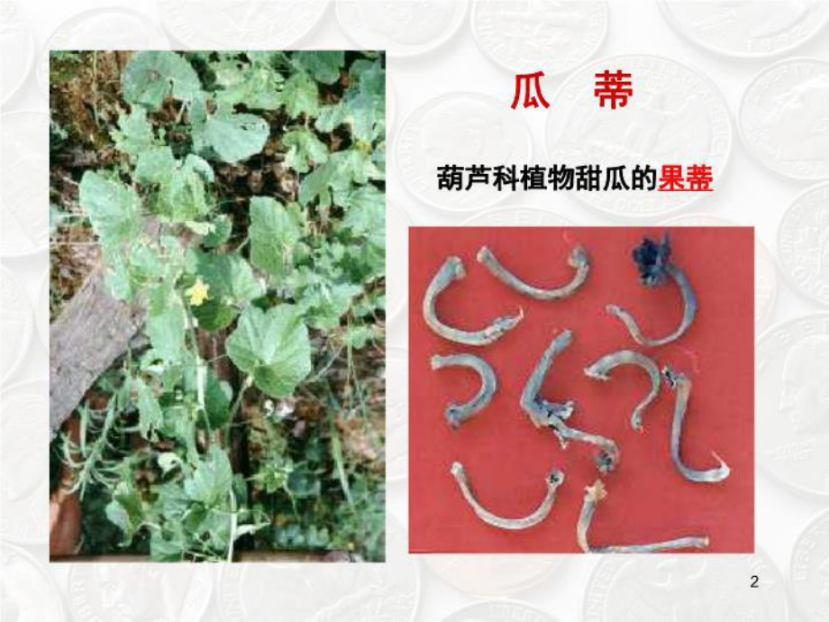 中药18催吐药-课件.ppt_第2页