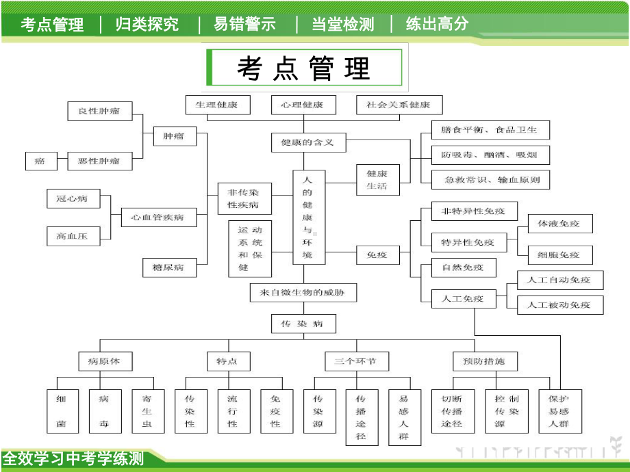 中考科学一轮复习课件：人的健康详解.ppt_第2页