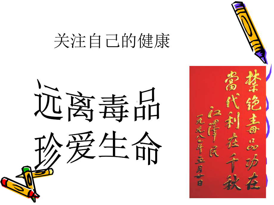 主题班会《远离毒品-珍爱生命》课件之二-2.ppt_第2页