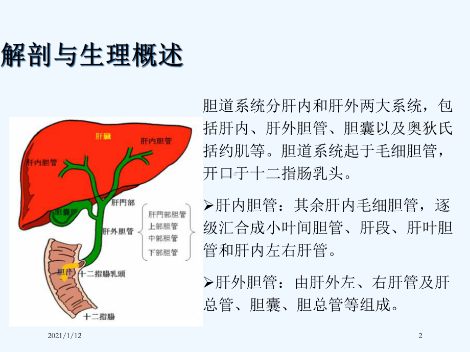 胆管癌术后的护理课件.ppt_第2页