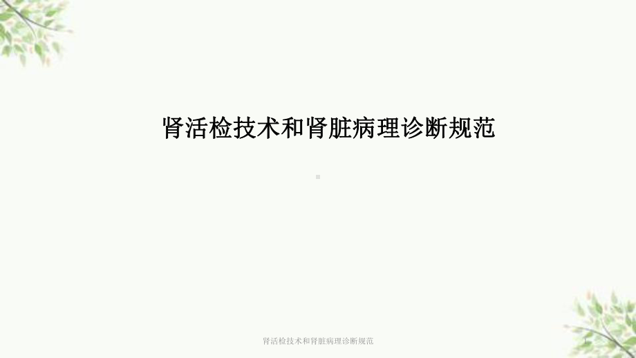 肾活检技术和肾脏病理诊断规范课件.ppt_第1页