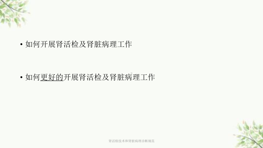 肾活检技术和肾脏病理诊断规范课件.ppt_第2页