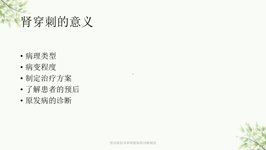 肾活检技术和肾脏病理诊断规范课件.ppt_第3页