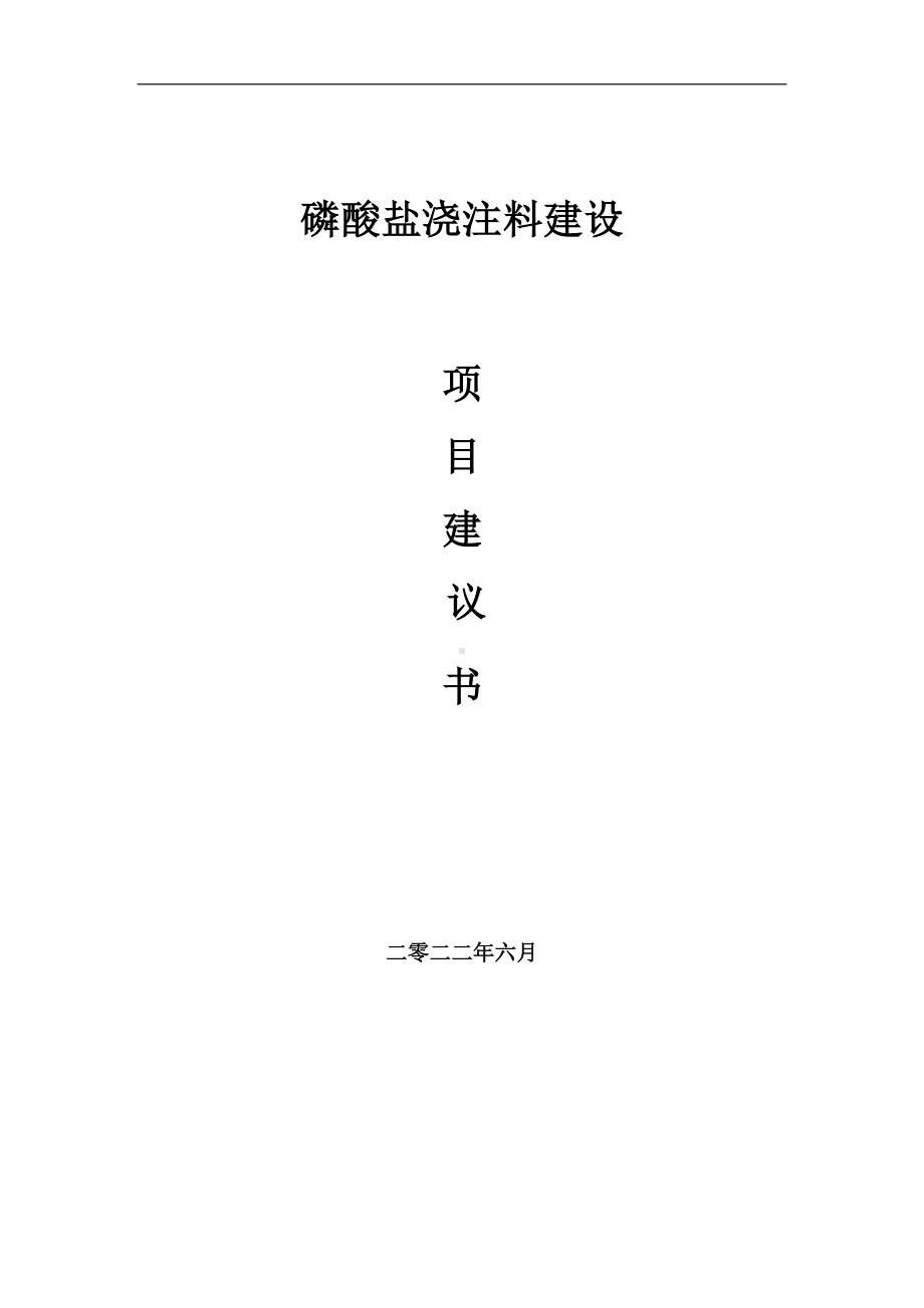 磷酸盐浇注料项目建议书（写作模板）.doc_第1页