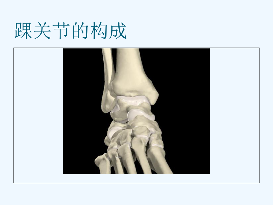 踝关节骨折的分型课件2.ppt_第3页