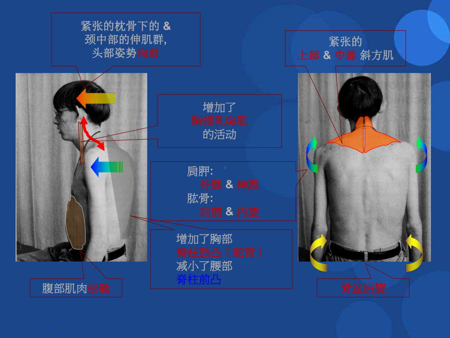 心肺康复参考课件.ppt_第3页