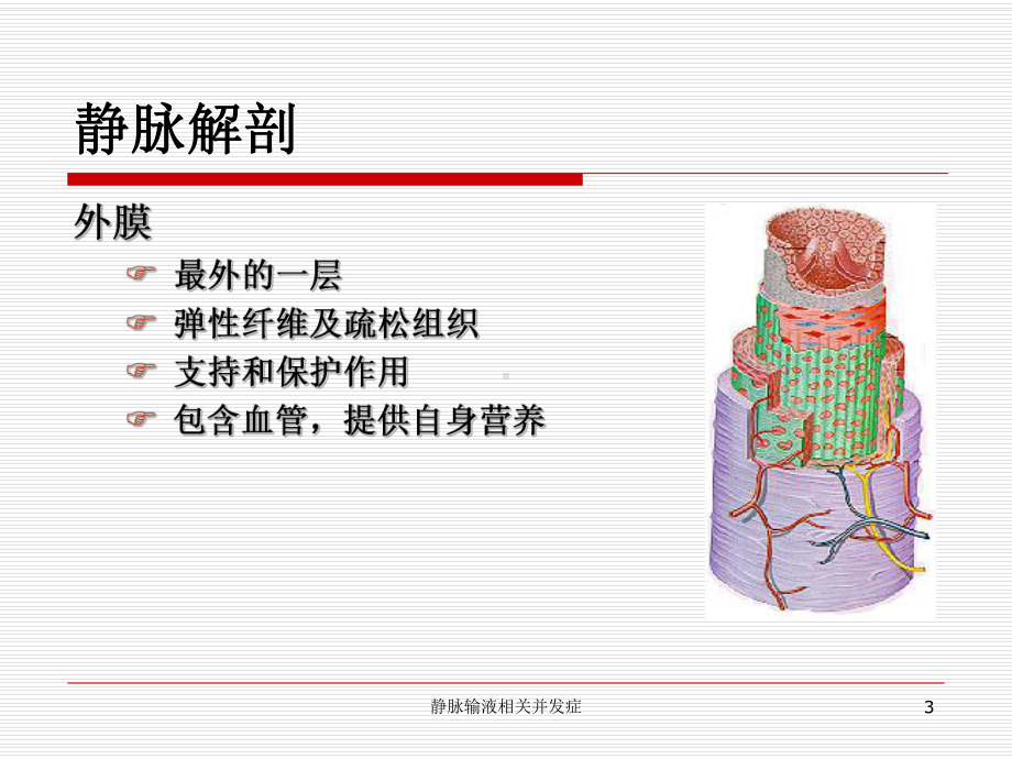 静脉输液相关并发症培训课件.ppt_第3页