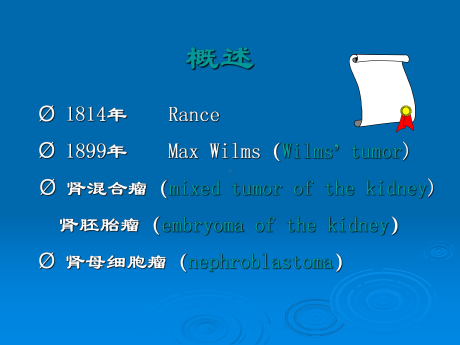 肾母细胞瘤的病因及实验治疗研究课件.pptx_第2页