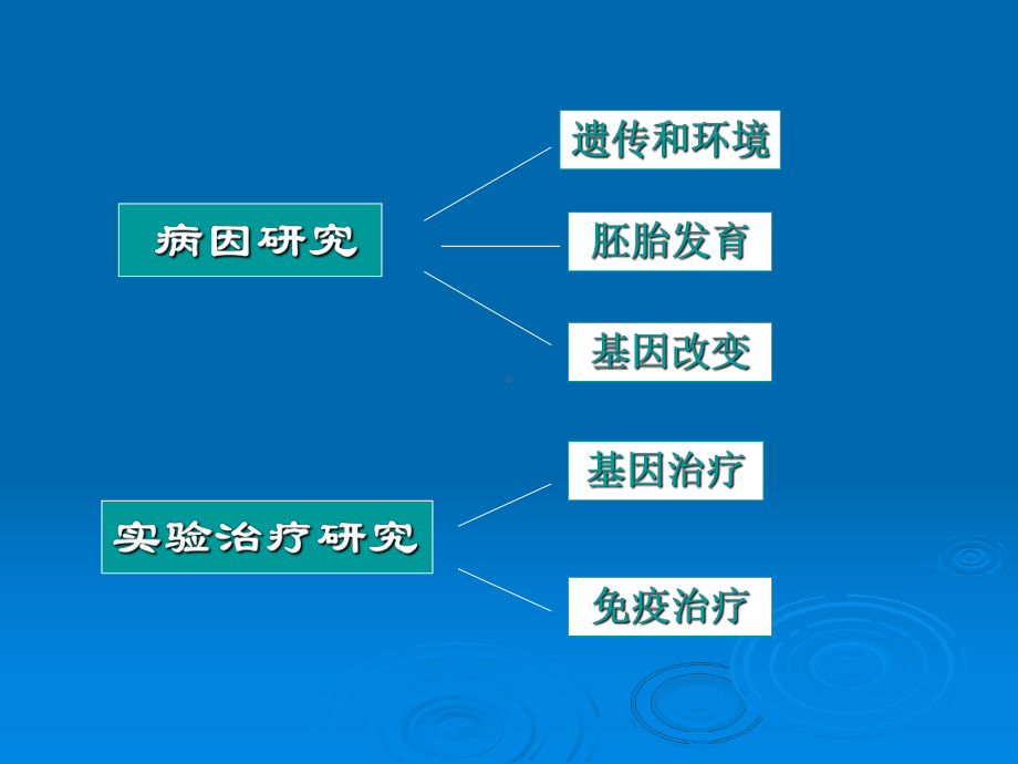 肾母细胞瘤的病因及实验治疗研究课件.pptx_第3页