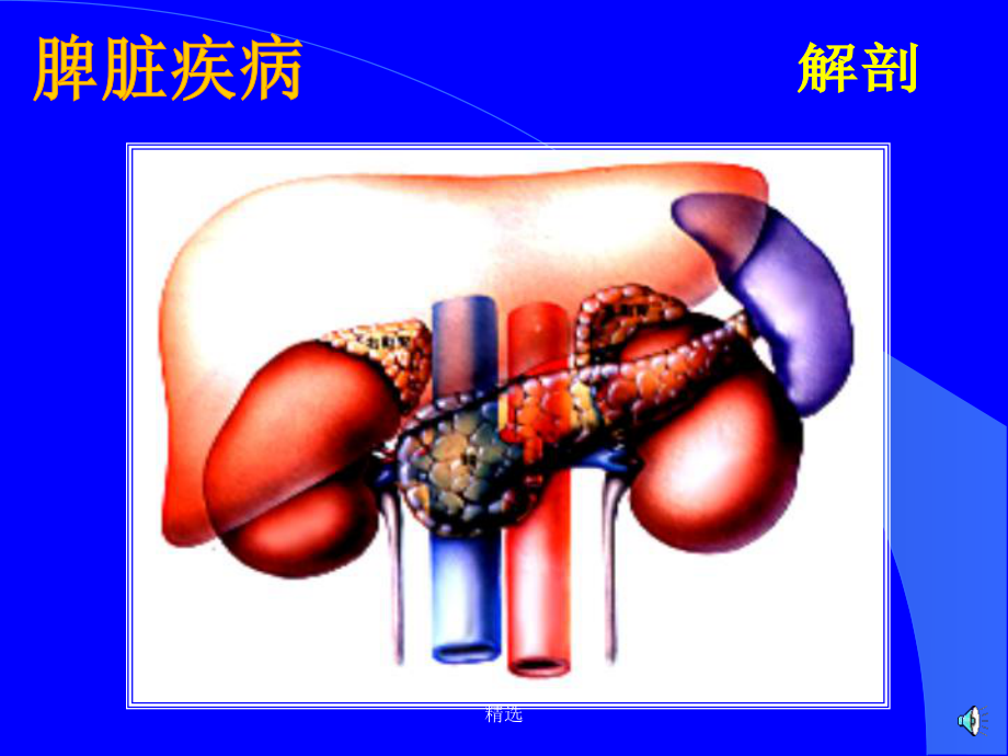 脾脏疾病超声诊断16656课件.ppt_第2页