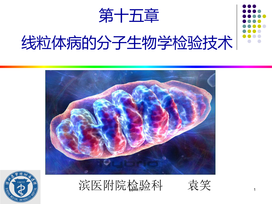 肿瘤的分子生物学检验技术-课件.ppt_第1页