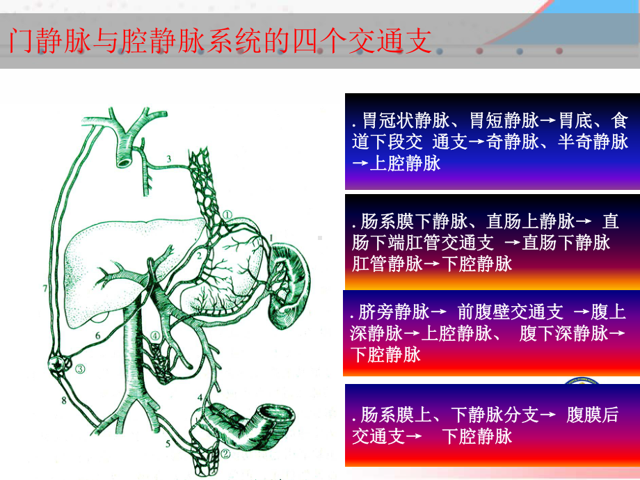 门静脉高压症外科处理近况及进展讲课课件.ppt_第3页