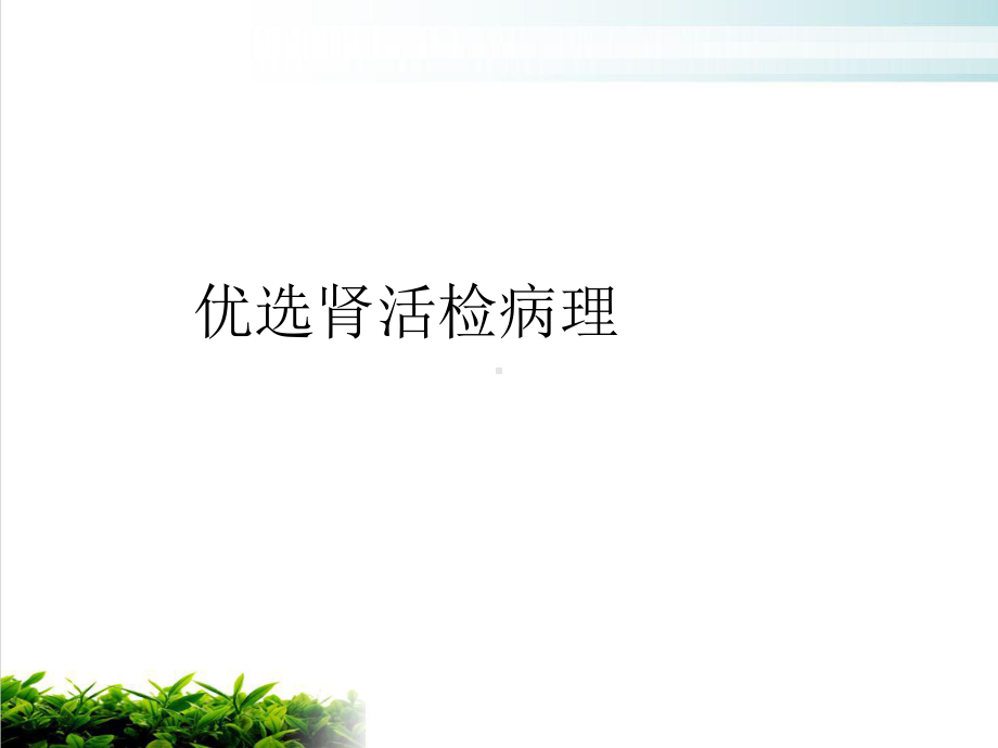 肾活检病理示范课件.ppt_第2页