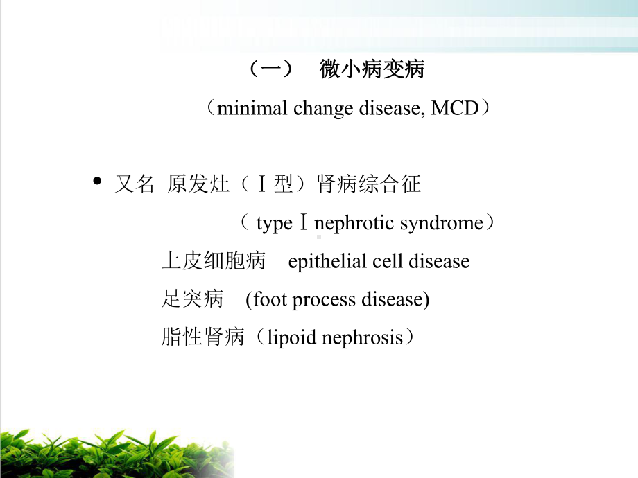 肾活检病理示范课件.ppt_第3页