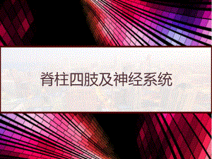 脊柱四肢及神经系统-课件.pptx