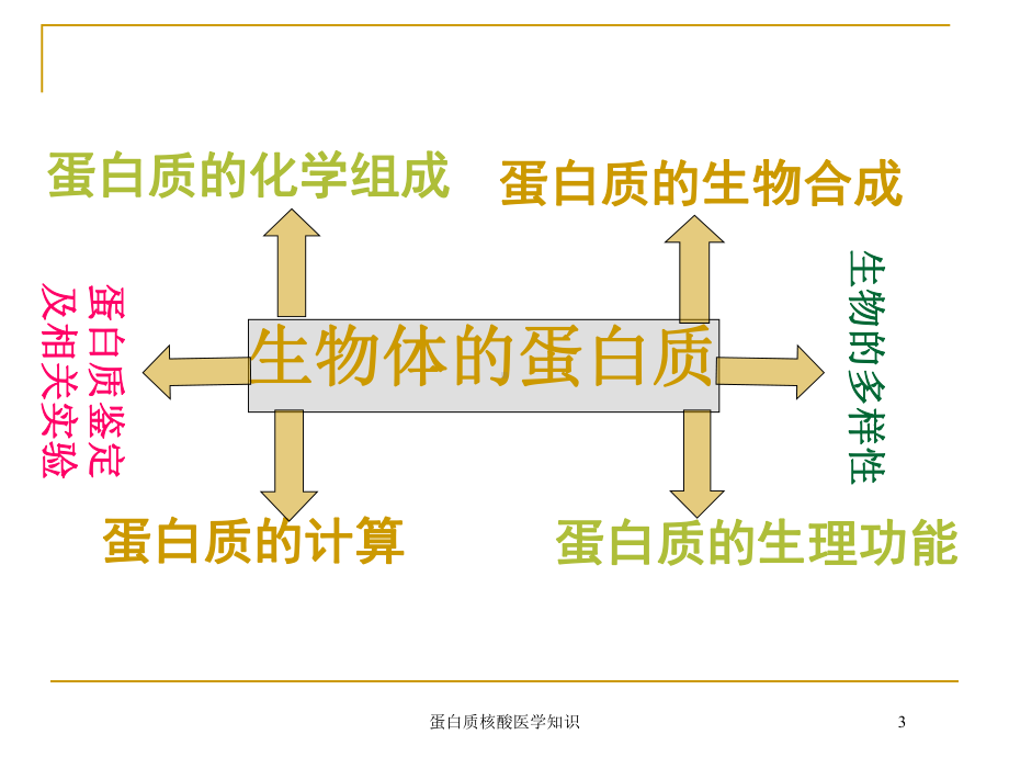 蛋白质核酸医学知识培训课件.ppt_第3页