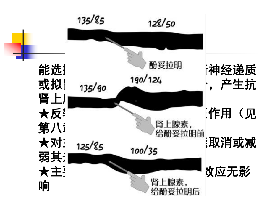 药理学第十一章抗肾上腺素药课件.ppt_第3页