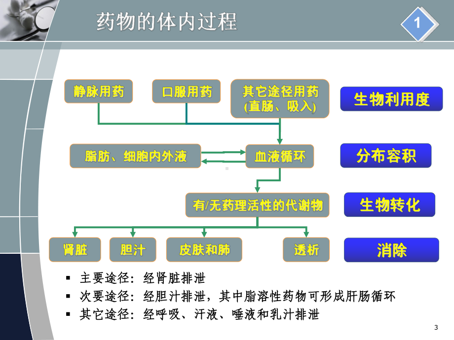 肾功能不全患者的合理用药参考课件.ppt_第3页