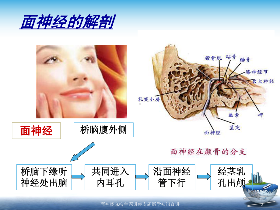 面神经麻痹主题讲座专题医学知识宣讲培训课件.ppt_第2页