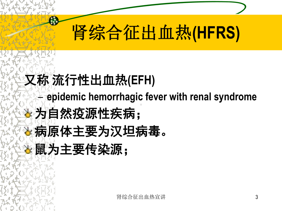 肾综合征出血热宣讲培训课件.ppt_第3页