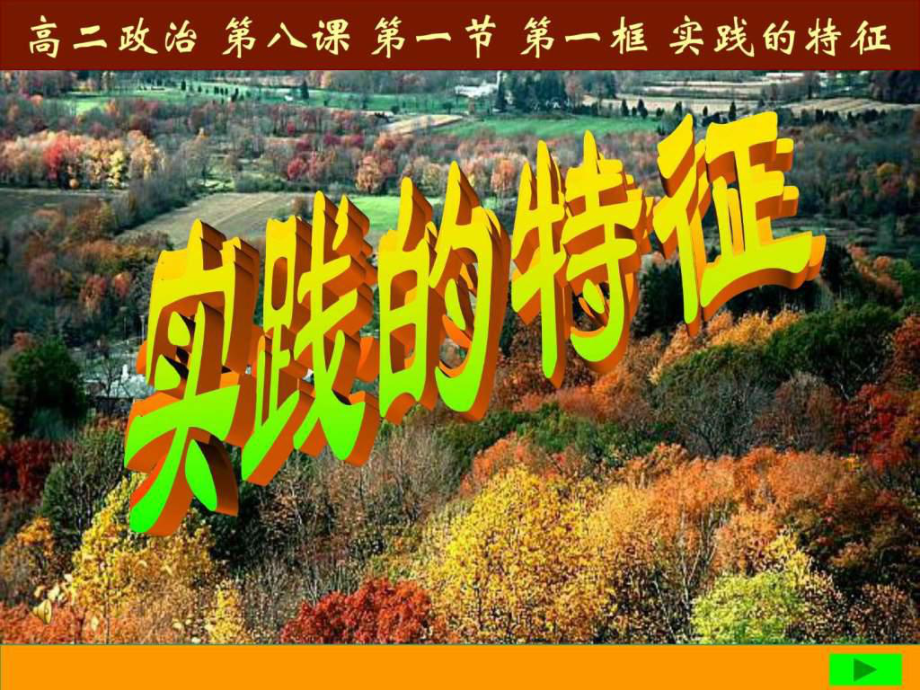 实践的特征-课件.ppt_第1页