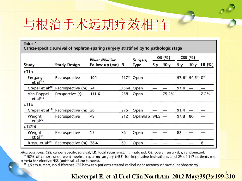 肾癌解剖评分教学课件.ppt_第3页